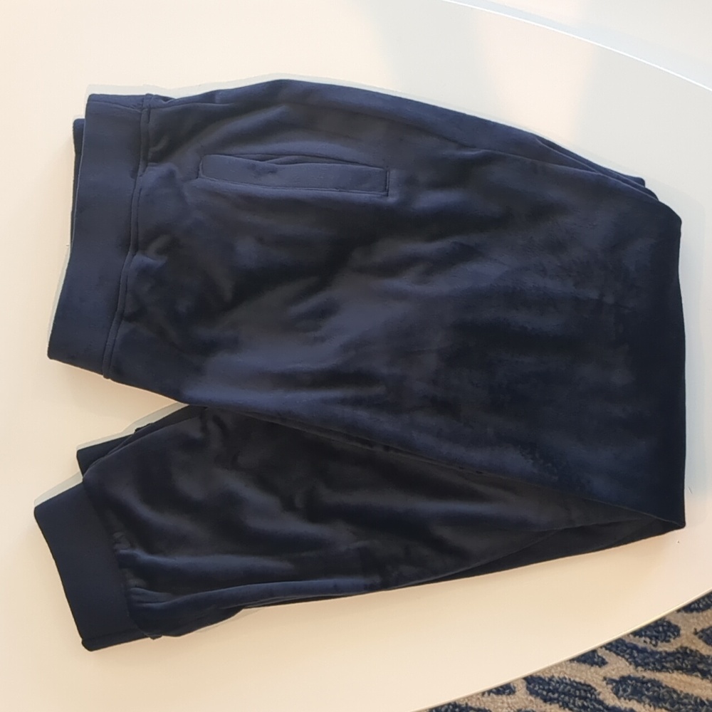 Chico's Zenergy Velour Jogger Pants